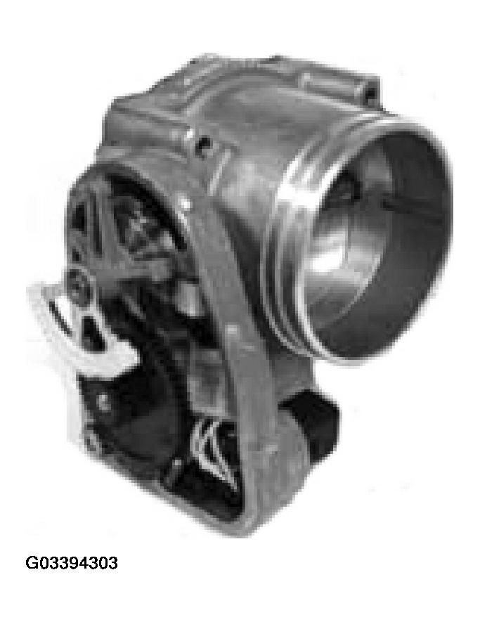 G03394303