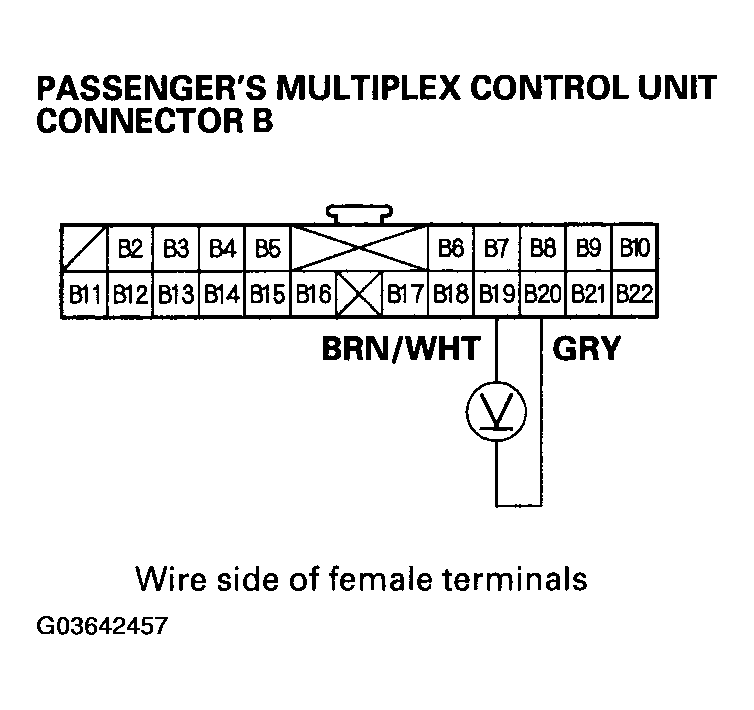 G03642457