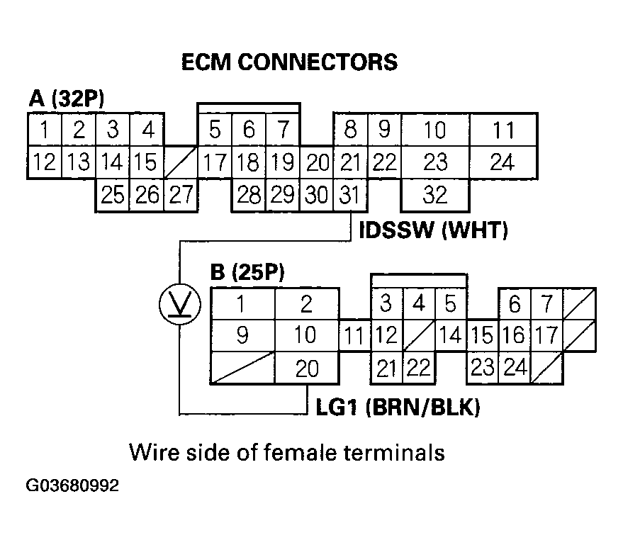 G03680992