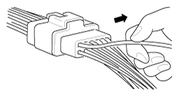 G11354956