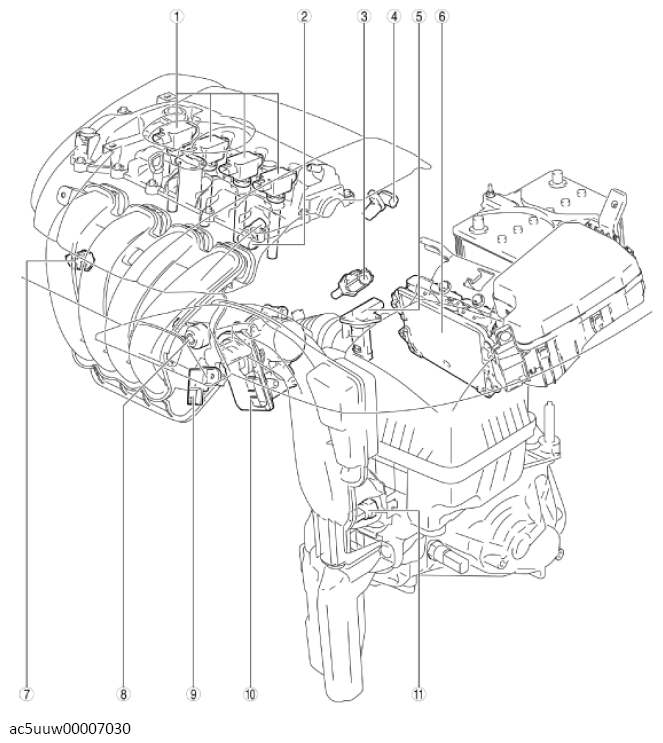 G11427356