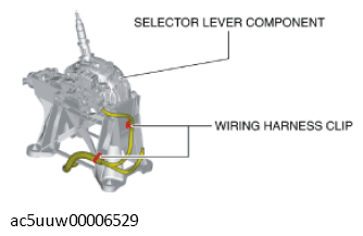 G11429224