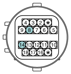 G12163262