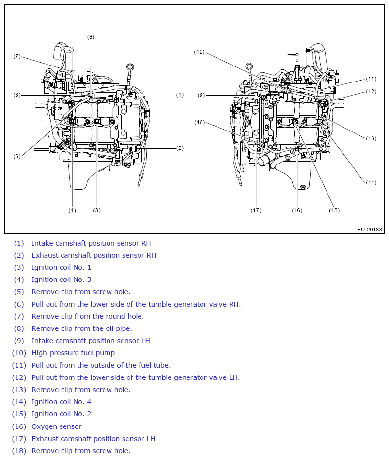 G13258461