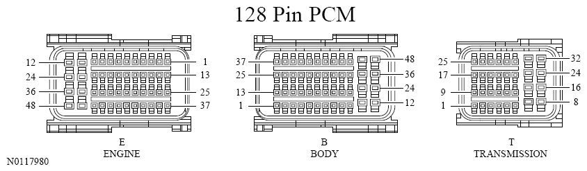 G13533441