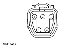 G13533482