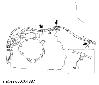 G13727538