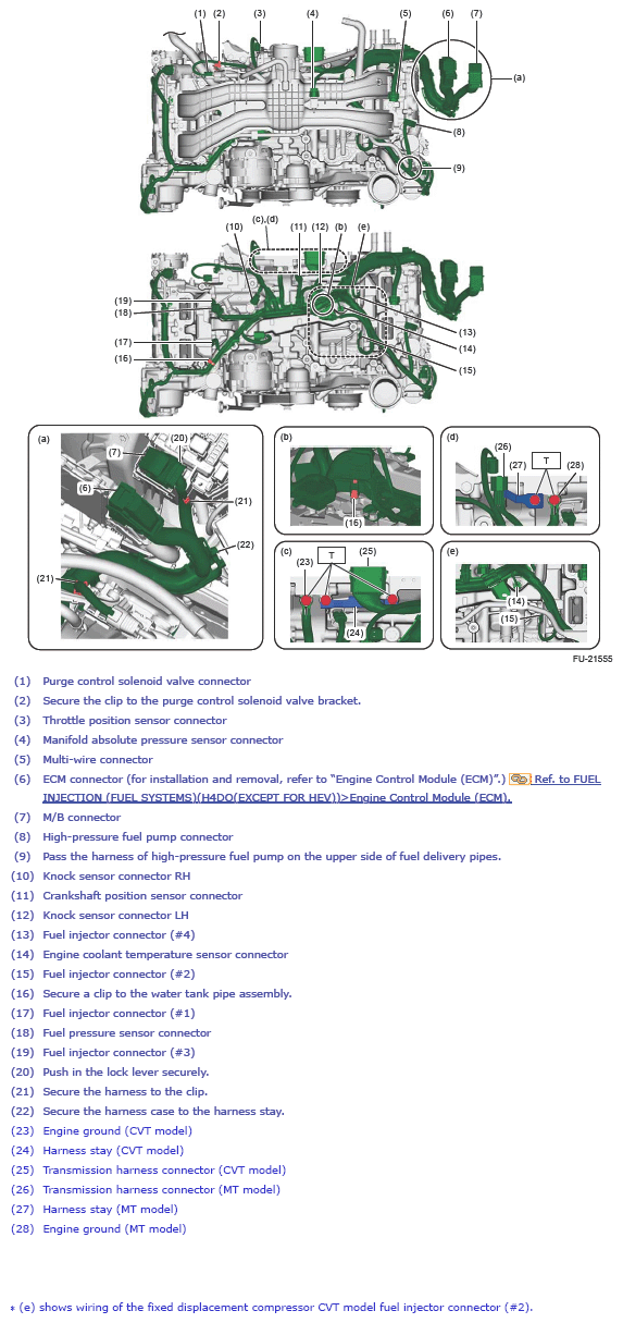 G13875280