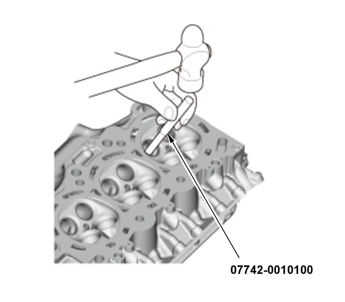 GHH308278