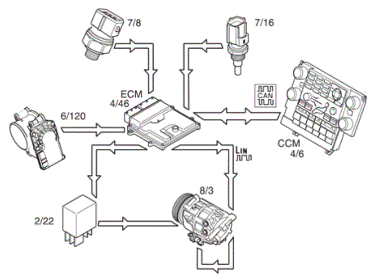 GLL154903